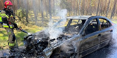 W Rojowie w ogniu stanął samochód osobowy