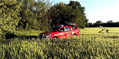 GRABÓW: Wszedł na drzewo, ale w zejściu musieli mu pomóc strażacy