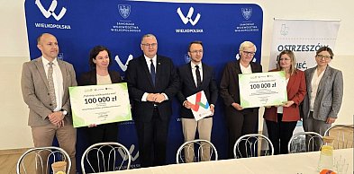 W powiecie ostrzeszowskim Pięknieje Wielkopolska Wieś