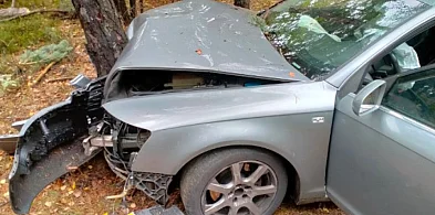 Audi uderzyło w drzewo, a na citroena spadł jego konar -42306