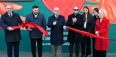 Kolejny mural w Zespole Szkół Nr 1 w Ostrzeszowie-42575