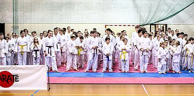Ogólnopolski Mikołajkowy Turniej Karate Młodzików w Grabowie nad Prosną-43122