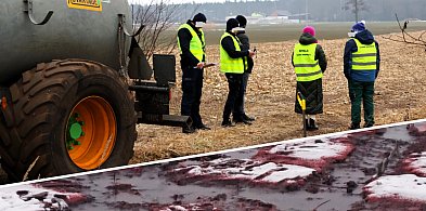 Pola skąpane we krwi