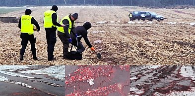 Wracamy do tematu nielegalnego wylewania na pola odpadów odzwierzęcych