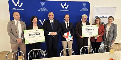 W powiecie ostrzeszowskim Pięknieje Wielkopolska Wieś