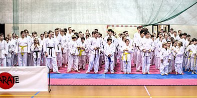 Ogólnopolski Mikołajkowy Turniej Karate Młodzików w Grabowie nad Prosną-43122