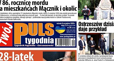 Sprawdź jaki jest Puls-42066