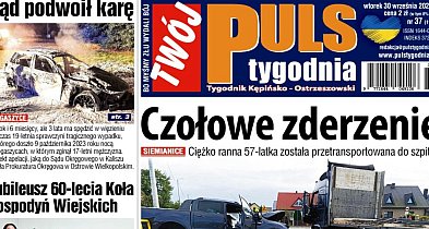 Sprawdź jaki jest Puls-42232