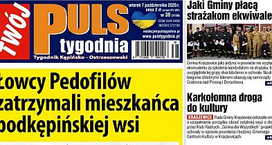 Sprawdź jaki jest Puls-42293