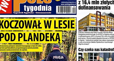 Sprawdź jaki jest Puls-42791