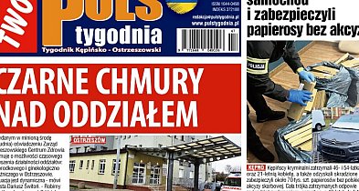 Sprawdź jaki jest Puls-43050