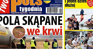 Sprawdź jaki jest Puls