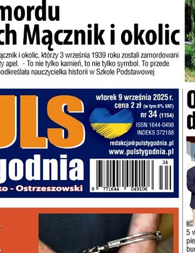 Sprawdź jaki jest Puls-42066
