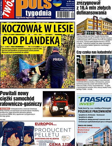 Sprawdź jaki jest Puls-42791