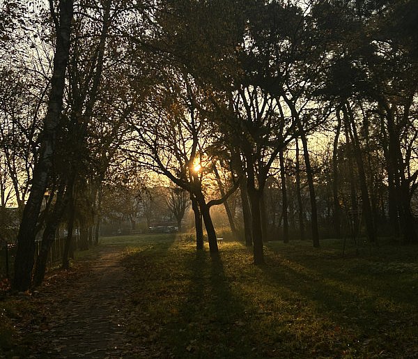 Nadchodzi najkrótszy dzień w 2025 roku. Sprawdź, kiedy przypadnie-43165
