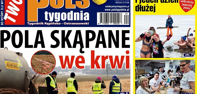 Sprawdź jaki jest Puls