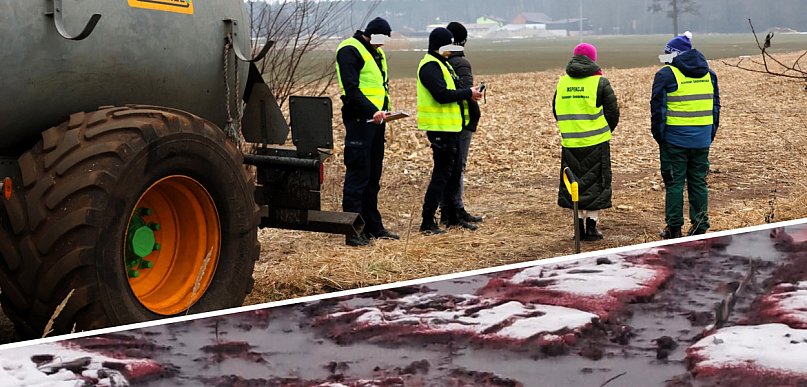 Pola skąpane we krwi